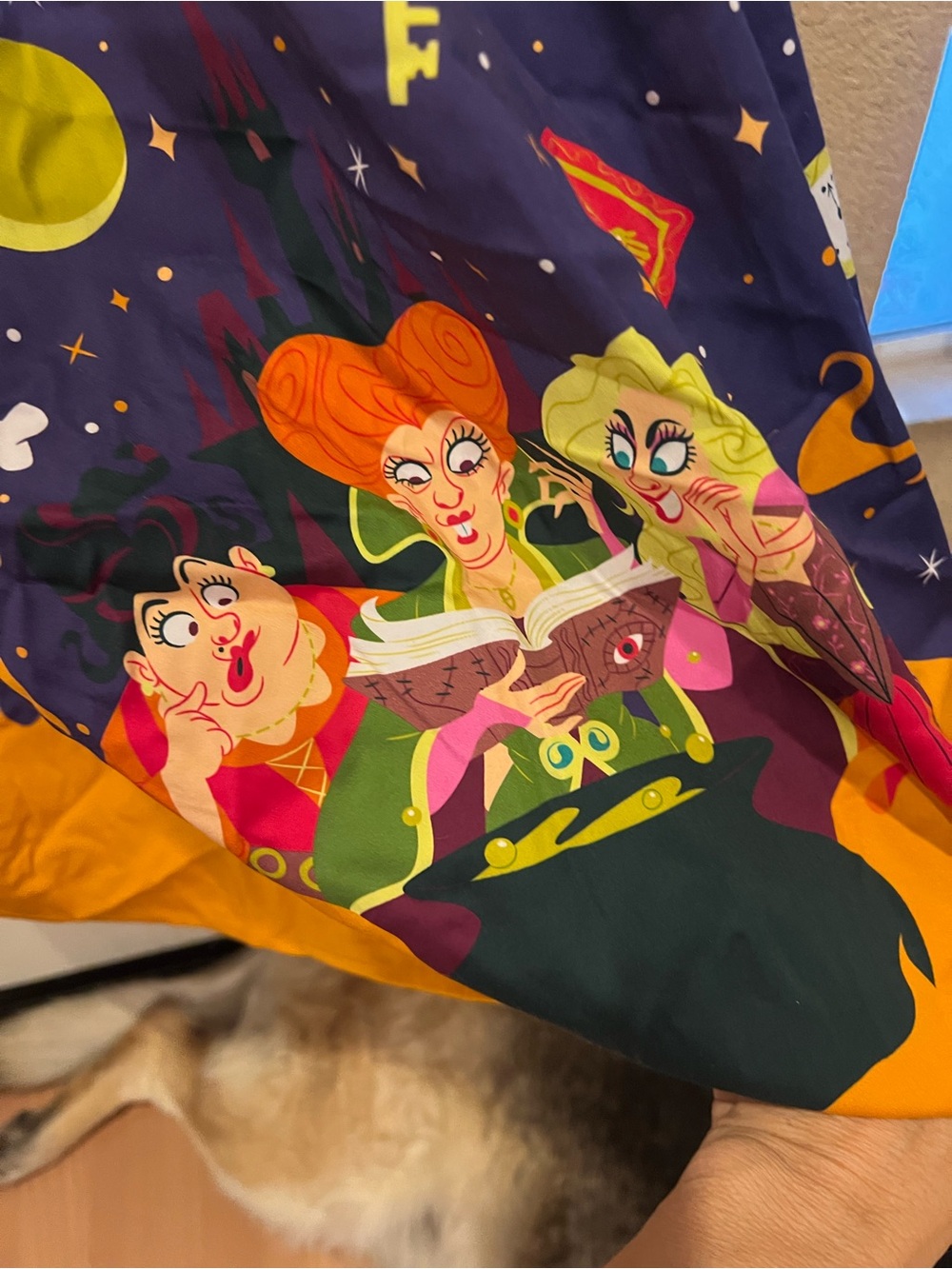DDS Hocus Pocus Sanderson Sisters Dress - Picture 3 of 4